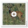 Kruger - Roebuck - 10m (100ea) 14x13.5cm - Weight 0.5kgs
