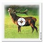 Kruger - Stag - 10m (100ea) 14x13.5cm - Weight 0.5kgs