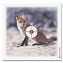Kruger - Fox - 10m (100ea) 14x13.5cm - Weight 0.5kgs